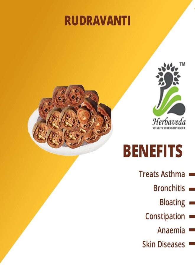 LEANBEING Herbaveda- Rudravanti phal 500g | Cressa Cretica | Litoral bind weed - Image 2